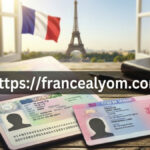 تأشيرة الإقامة في فرنسا طويلة الأمد وبطاقة الإقامة الفرنسية مع خلفية لبرج إيفل.