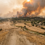 France, été le plus chaud, sécheresse et incendie de forêt